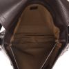 Borsa a tracolla Louis Vuitton   in pelle marrone - Detail D3 thumbnail