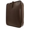 Louis Vuitton  Pegase suitcase  in brown taiga leather - 00pp thumbnail