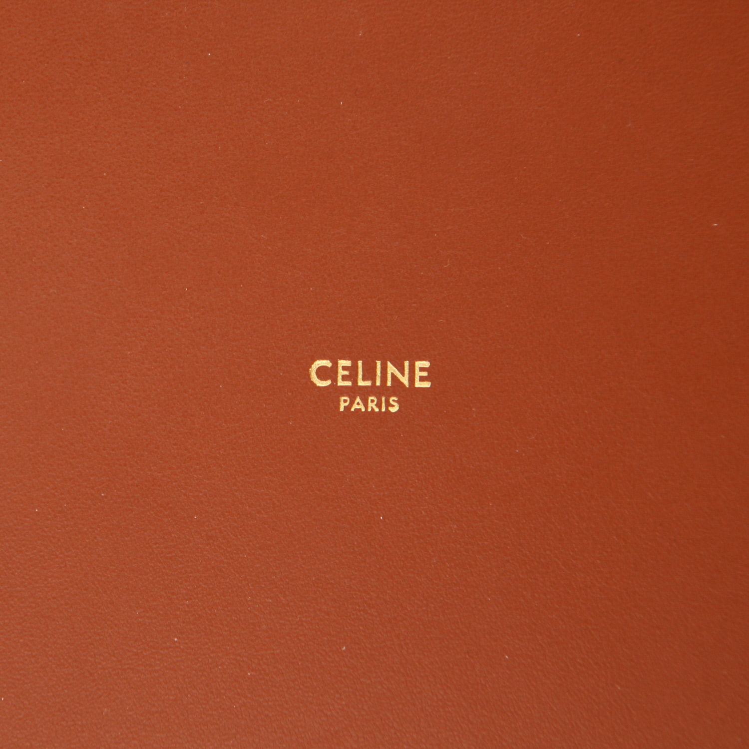 Celine  Seau 16 handbag  in beige canvas  and brown leather - Detail D2