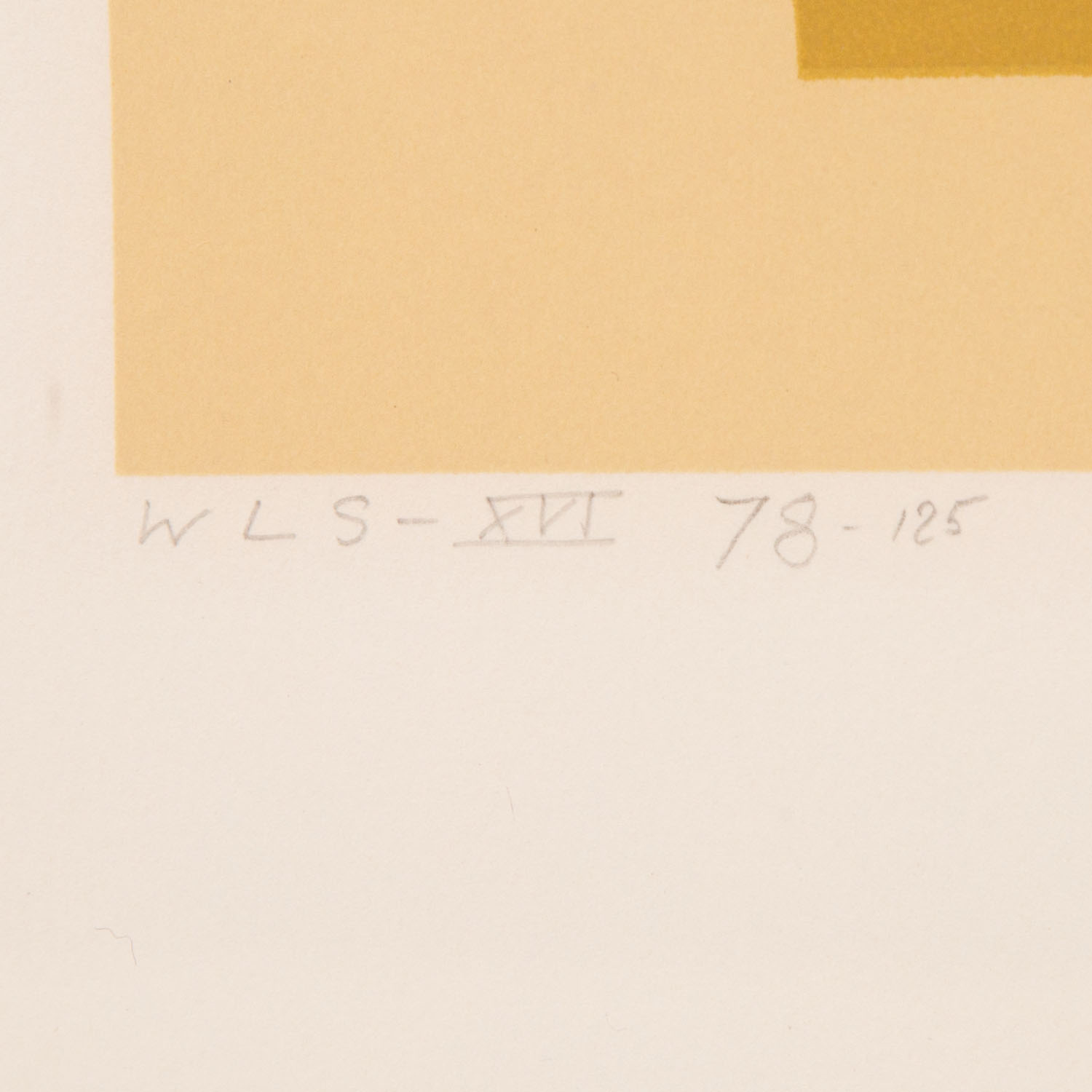 WLS XVI, from White Line Squares (Series II) - 1966 - Detail D1