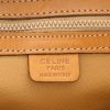 Celine  Vintage handbag  in brown "Triomphe" canvas  and brown leather - Detail D2 thumbnail