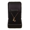 Pendentif Tiffany & Co Elsa Peretti en or rose - Detail D2 thumbnail