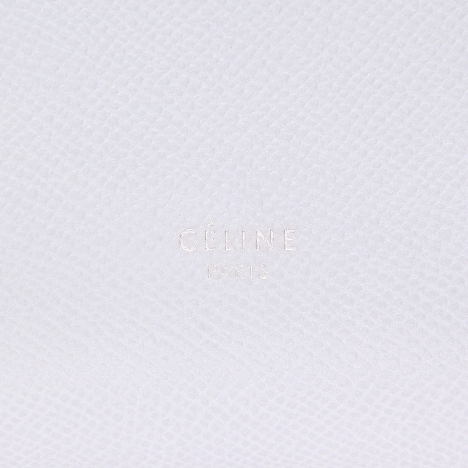 Celine  Belt Nano shoulder bag  in light blue leather - Detail D2