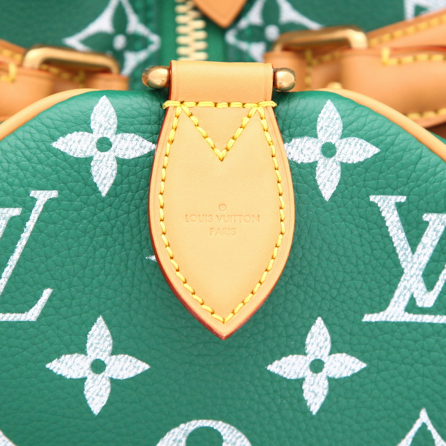 Bolso de mano Louis Vuitton  Speedy P9 en cuero Monogram verde y cuero natural - Detail D2
