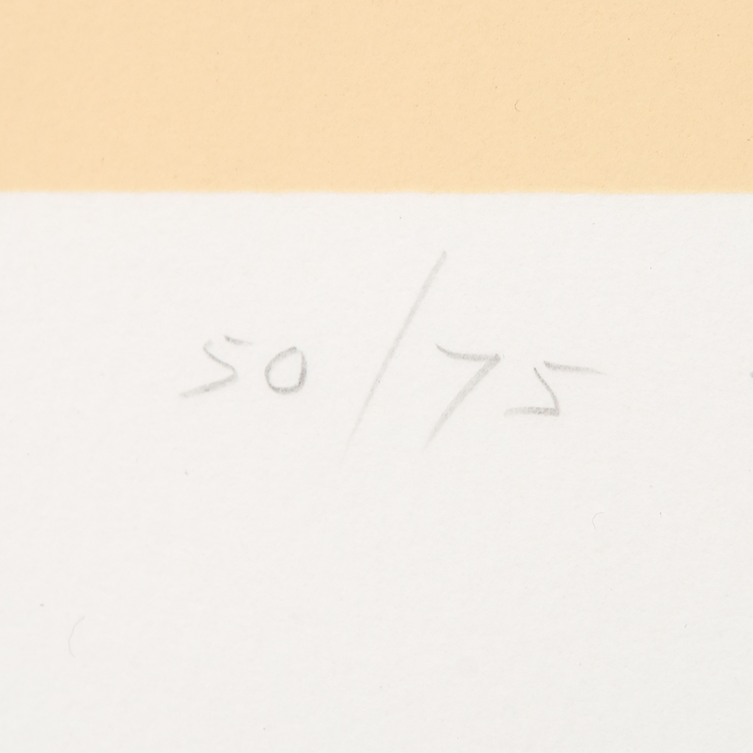 Untitled Head - 1995 - Detail D4