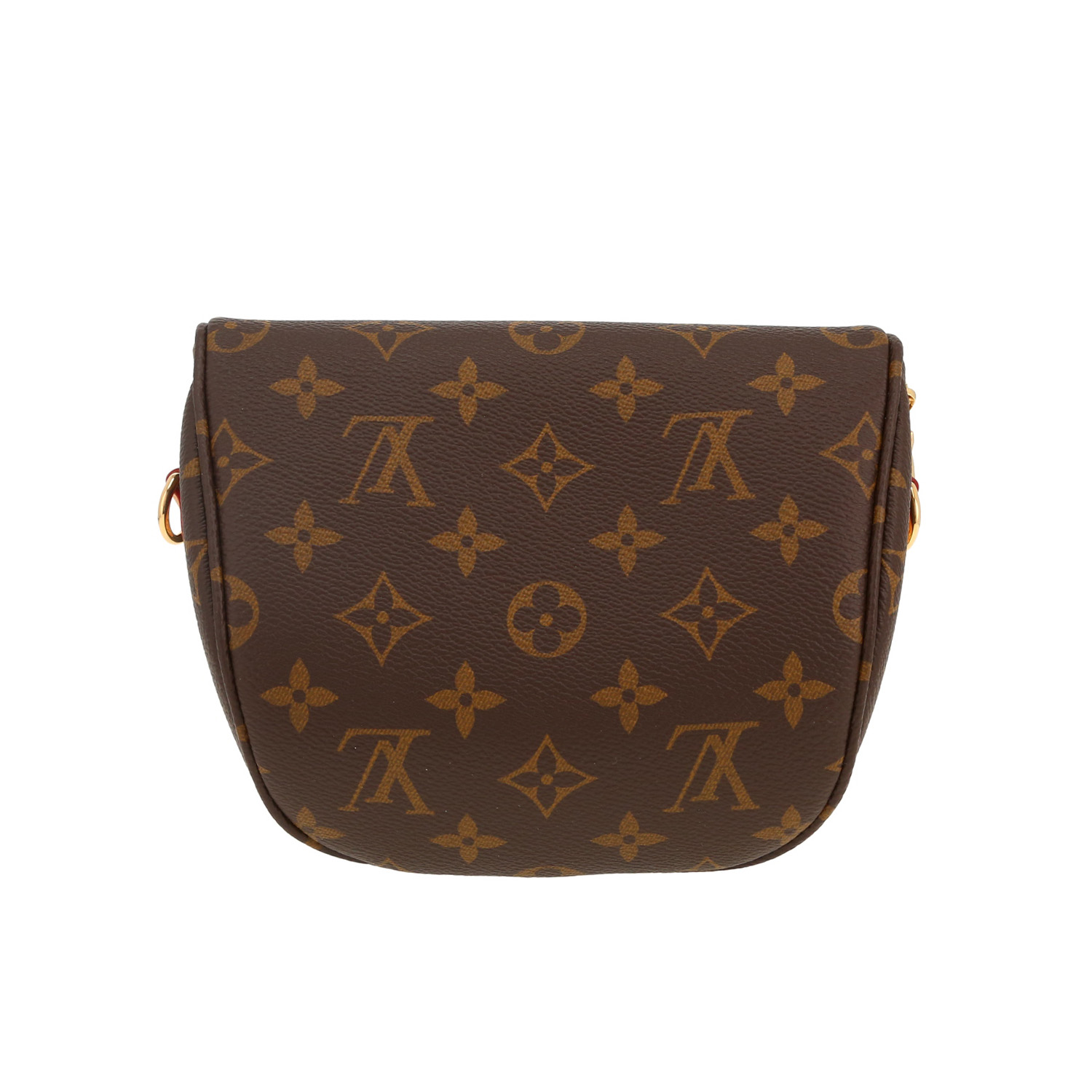 Borsa a tracolla Louis Vuitton  Bumbag in tela monogram marrone e pelle naturale - Detail D5