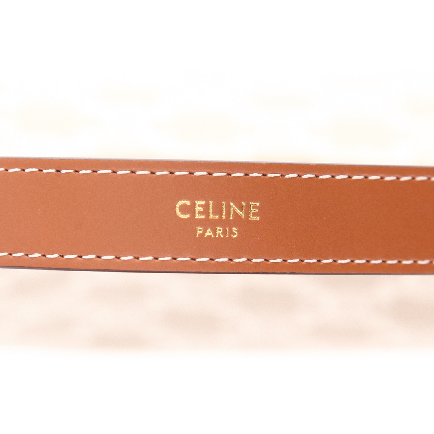 Sac à main Celine  Ava moyen modèle  en toile Triomphe beige et cuir marron - Detail D2