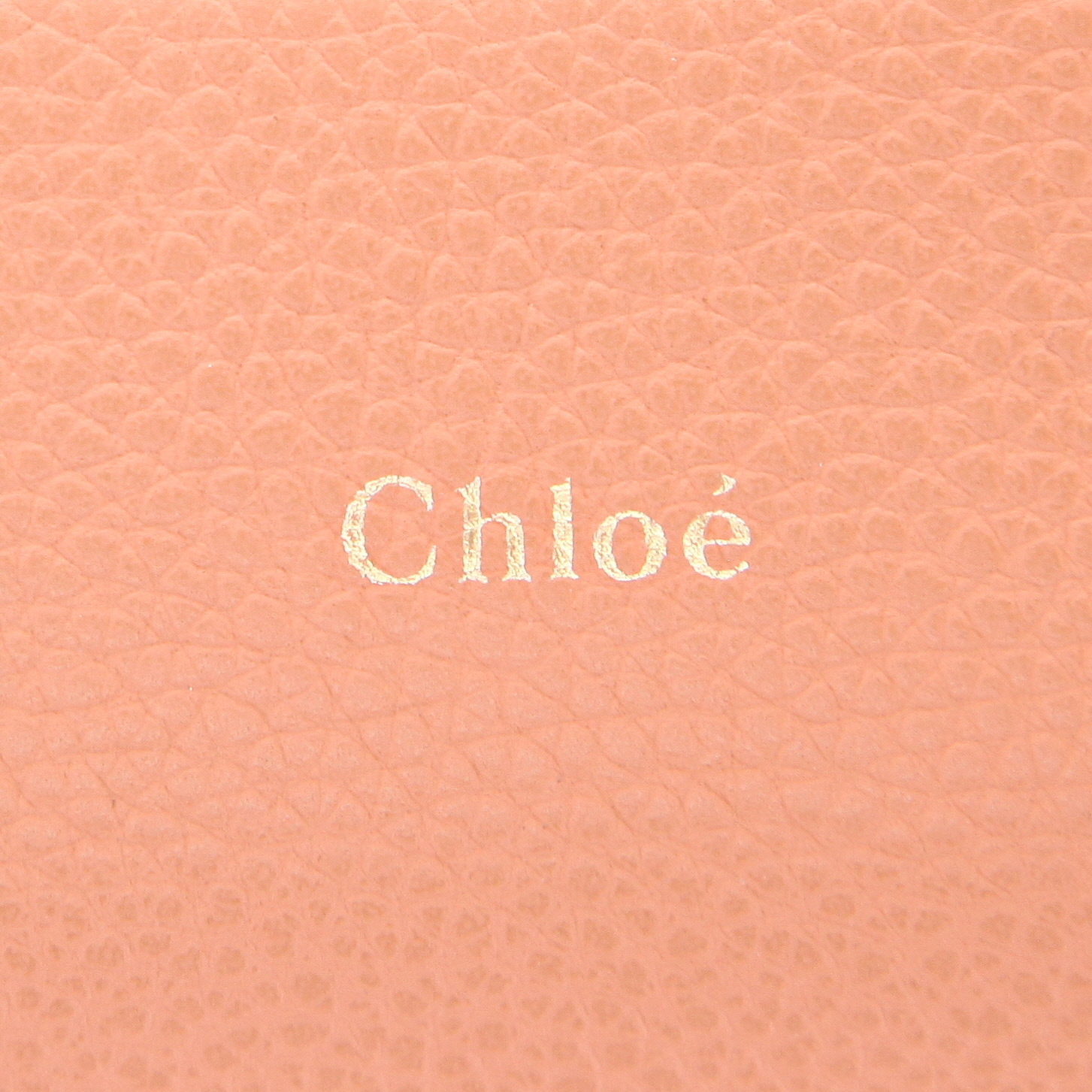 Borsa a tracolla Chloé  Walden in pelle rosa - Detail D2
