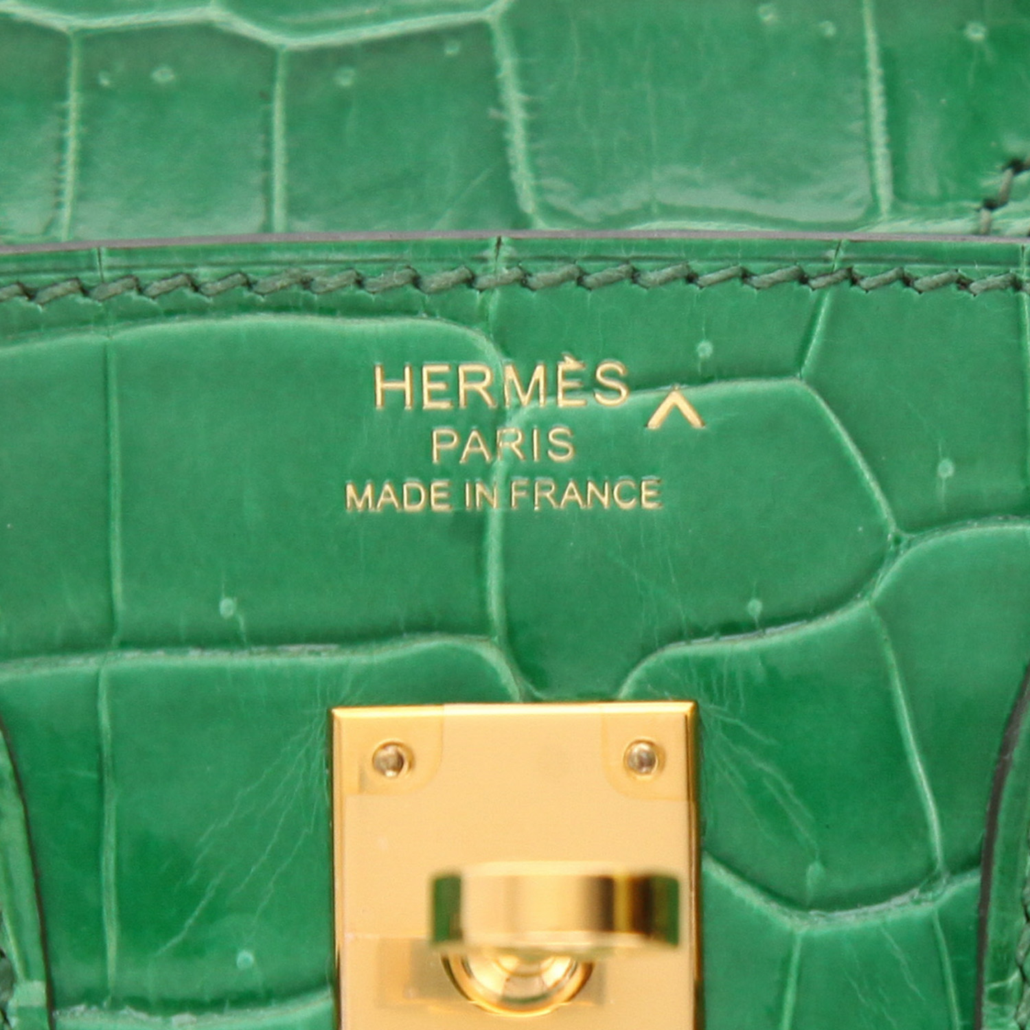 Hermès  Birkin 25 cm handbag  in Vert Cactus porosus crocodile - Detail D2