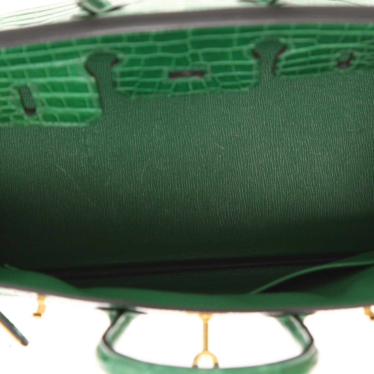 Bolso de mano Hermès  Birkin 25 cm en cocodrilo porosus Vert Cactus - Detail D4