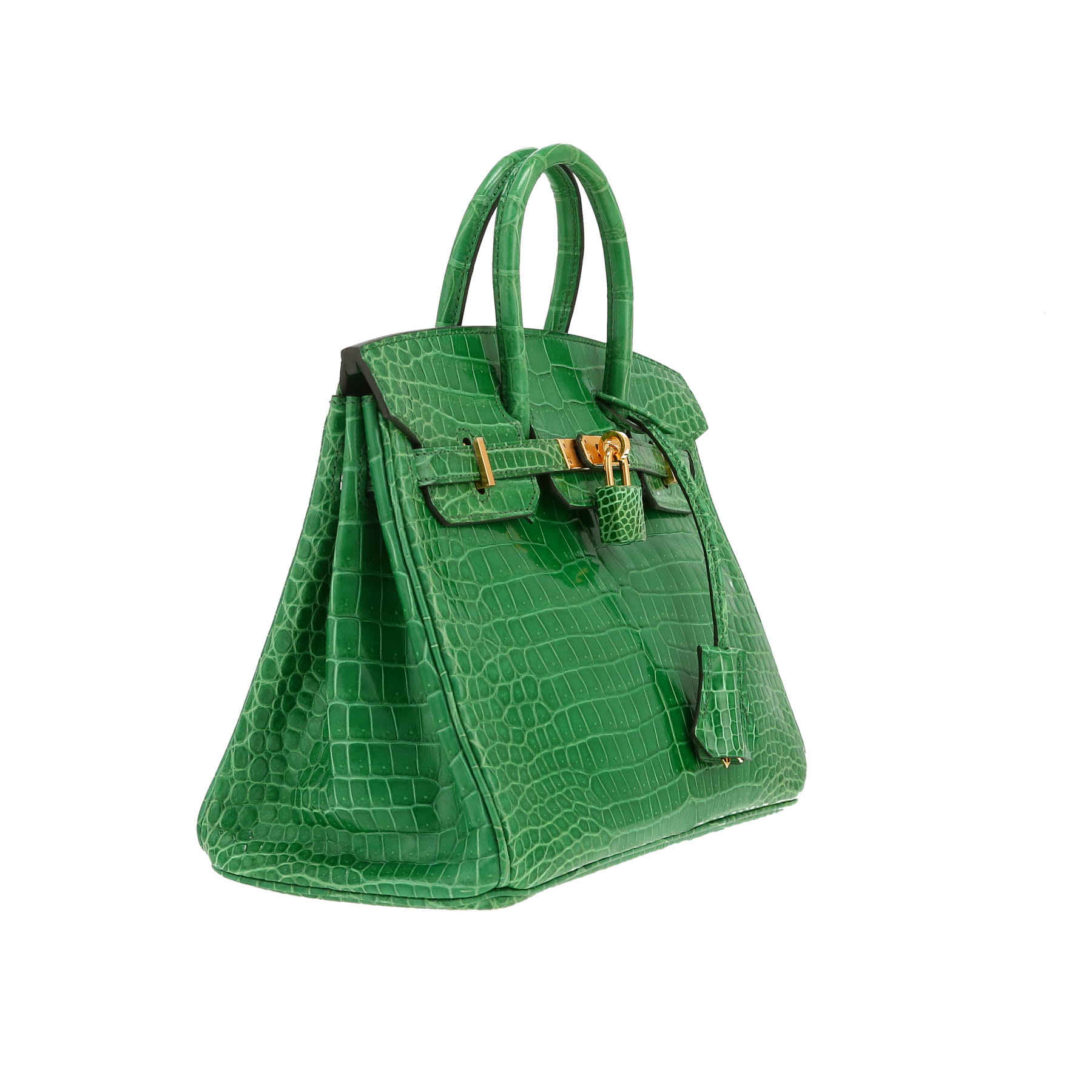 Sac à main Hermès  Birkin 25 cm en crocodile porosus Vert Cactus - Detail D6