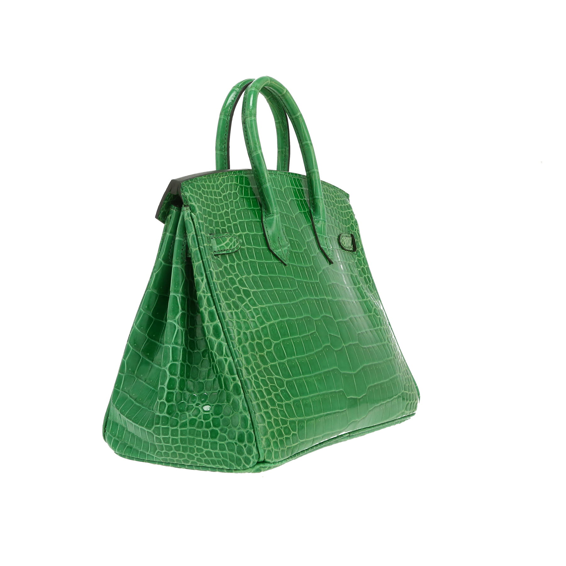 Sac à main Hermès  Birkin 25 cm en crocodile porosus Vert Cactus - Detail D9