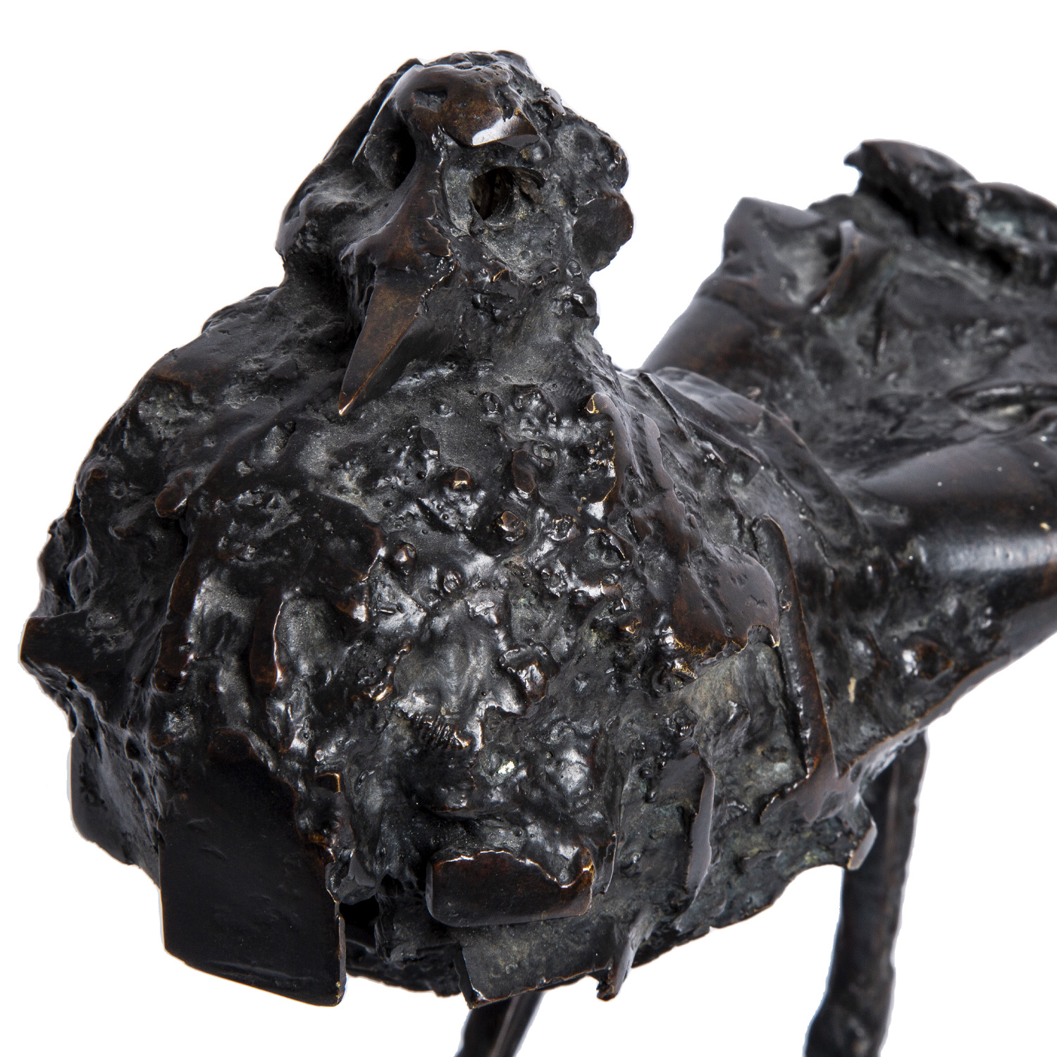 César (1921-1998), Pigeon - 1957/1972 - Detail D2