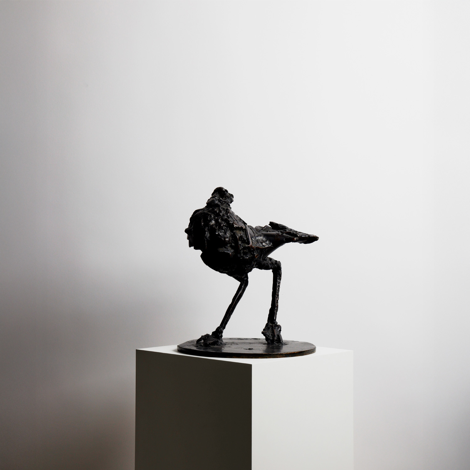 César (1921-1998), Pigeon - 1957/1972 - Detail D3