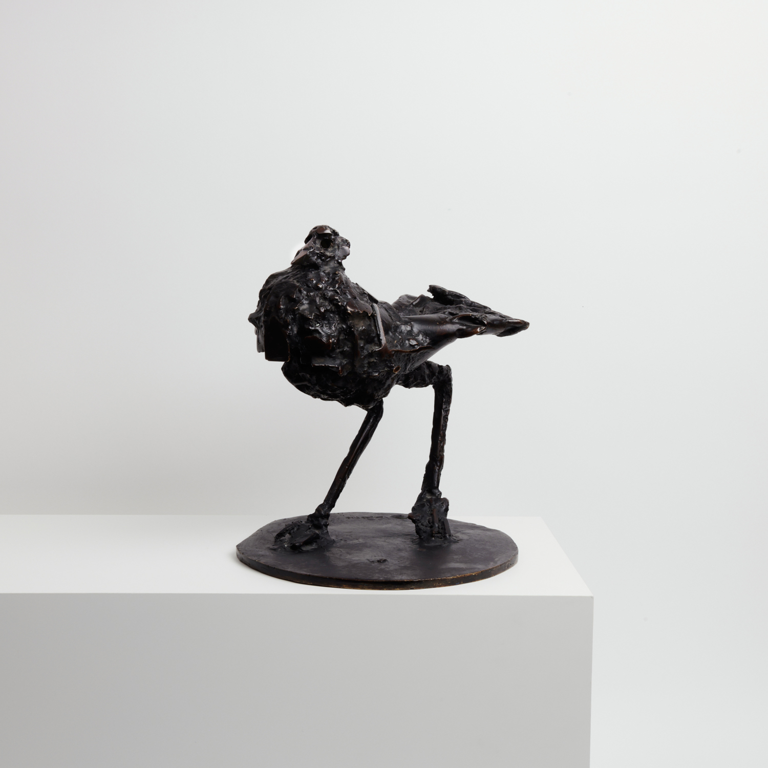 César (1921-1998), Pigeon - 1957/1972 - Detail D4
