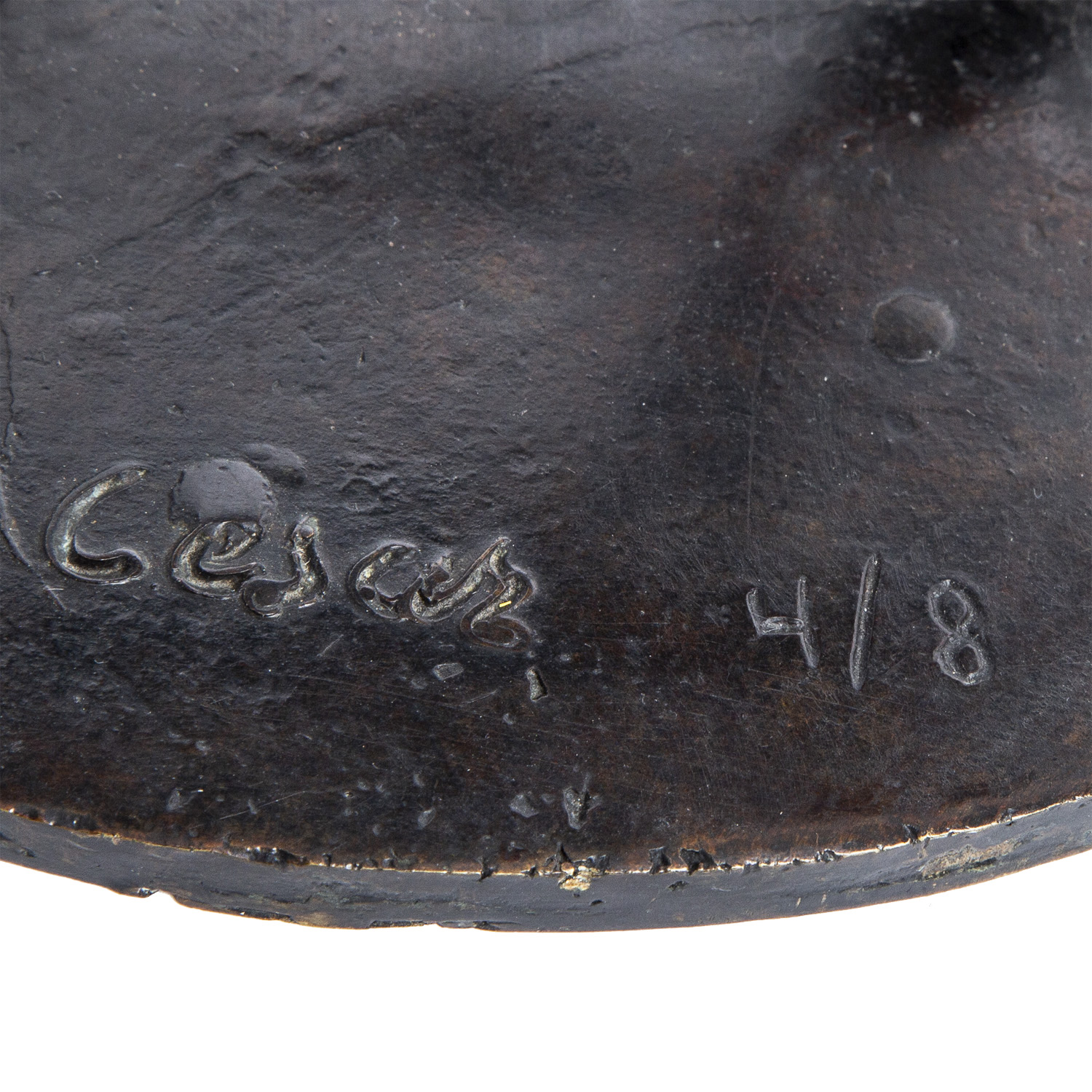 Pigeon - 1957/1972 - Detail D6