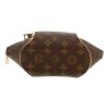 Borsa Louis Vuitton  Ellipse in tela monogram marrone e pelle naturale - Detail D1 thumbnail