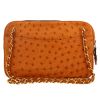 Chanel  Camera handbag  in brown ostrich leather - Detail D4 thumbnail