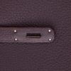 Hermès  Birkin 35 cm handbag  in purple Raisin togo leather - Detail D4 thumbnail