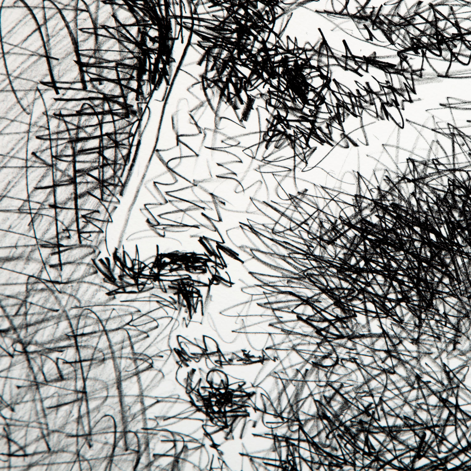 Pablo Picasso (1881-1973), Portrait de Jacqueline - 1956 - Detail D2