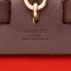 Hermès  Herbag - Backpack backpack  in red canvas  and brown leather - Detail D2 thumbnail