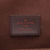 Louis Vuitton  Brooklyn shoulder bag  in ebene damier canvas  and brown leather - Detail D2 thumbnail