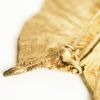 Claude Lalanne (1925-2019), Broche 'Papillon' - 1991 - Edition Artcurial - Detail D1 thumbnail