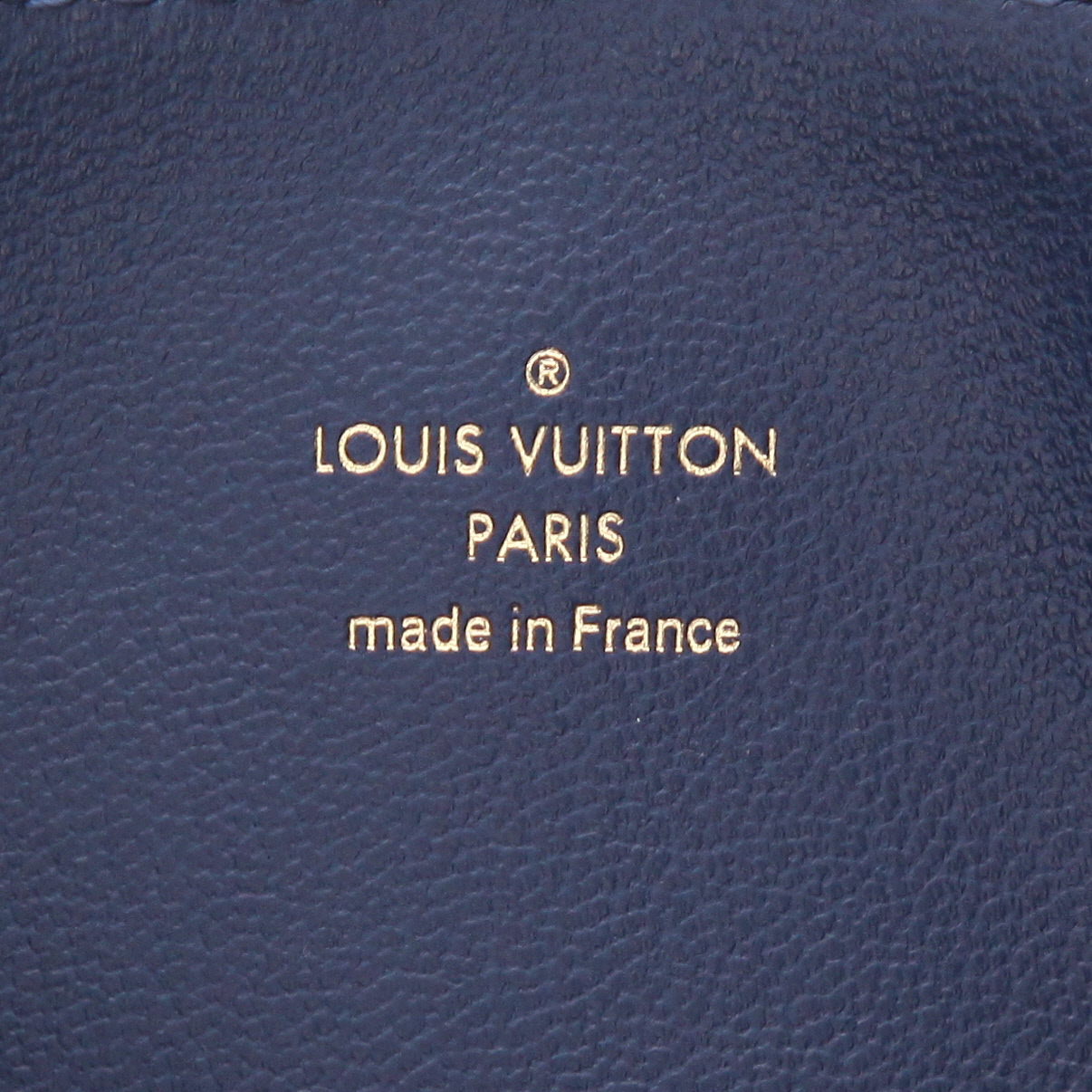 Sac bandoulière Louis Vuitton  Coussin petit modèle  en cuir monogram taupe - Detail D2