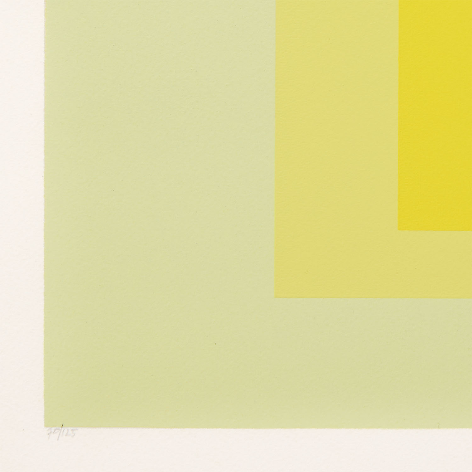 Homage to the square - 1964 - Detail D3