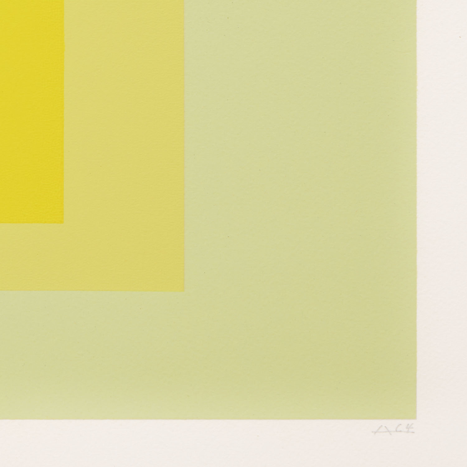 JoseHomage to the square - 1964 - Detail D4