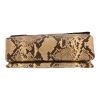 Celine  Blade handbag  in beige python - Detail D1 thumbnail