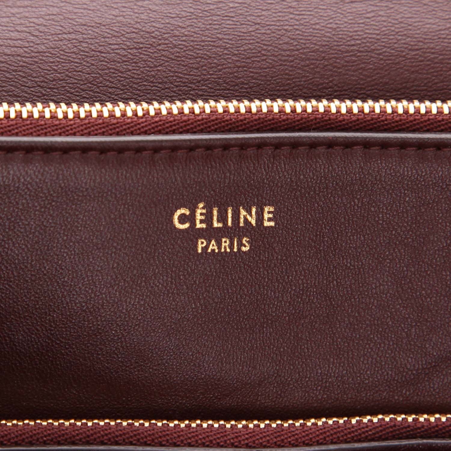 Celine Blade handbag in beige python - Detail D2