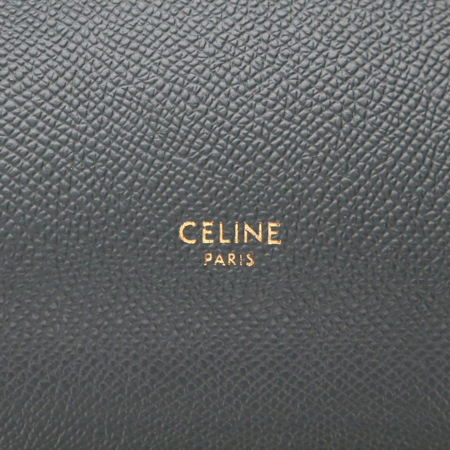 Borsa a tracolla Celine  Belt Nano in pelle martellata verde - Detail D2