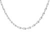 Tiffany & Co HardWear small model necklace in silver - 00pp thumbnail
