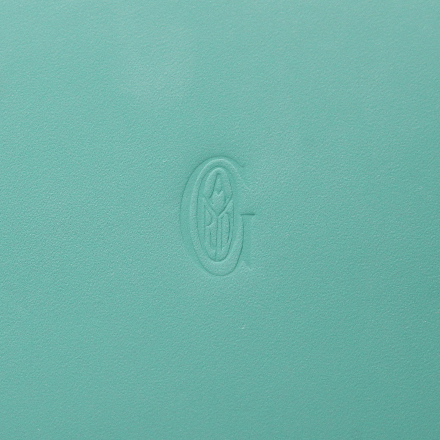 Bolso bandolera Goyard  Saigon en tela Goyardine verde y cuero verde - Detail D2