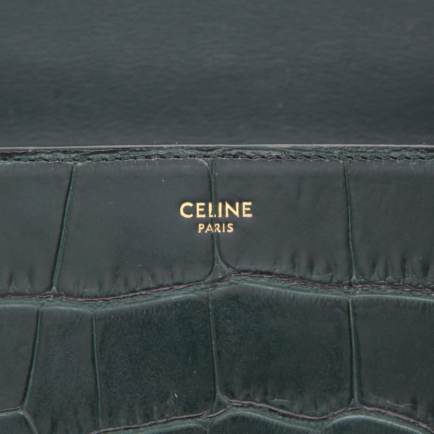 Bolso bandolera Celine   en cuero verde - Detail D2