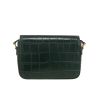 Bolso bandolera Celine   en cuero verde - Detail D4 thumbnail