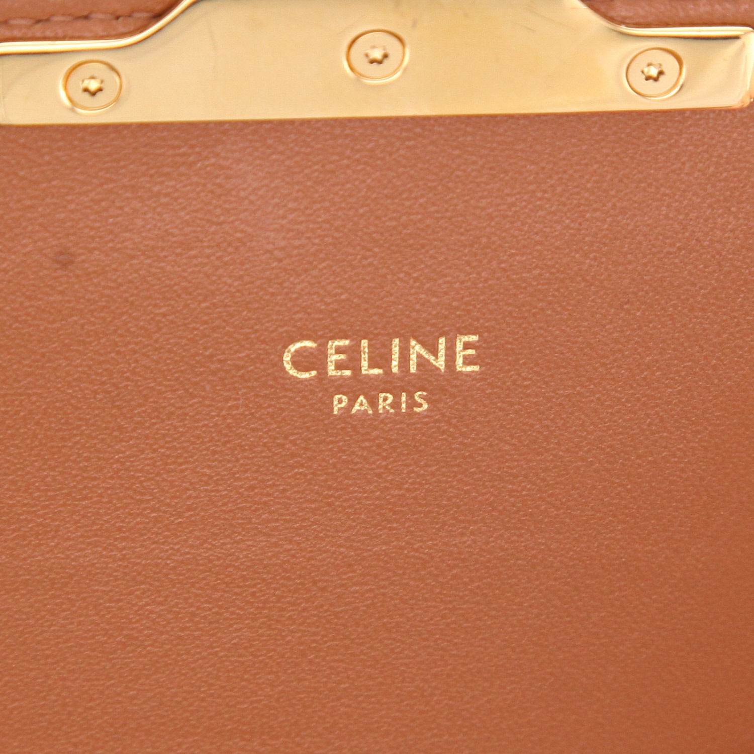 Borsa a tracolla Celine  Triomphe in tela "Triomphe" marrone e pelle marrone - Detail D2