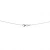 Collar en oro blanco y diamante (0,70 carat) - Detail D3 thumbnail