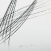 Hans Hartung (1904-1989), HH5510 - 1979 - Detail D1 thumbnail