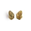 Claude Lalanne (1925-2019), 'Papillon' earrings - circa 1975/1980 - 00pp thumbnail