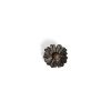 Claude Lalanne (1925-2019), 'Paquerette' brooch - circa 1980 - 00pp thumbnail