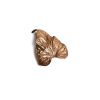 Claude Lalanne (1925-2019), Broche - le modèle créé vers 1980 - Edition Artcurial - 00pp thumbnail