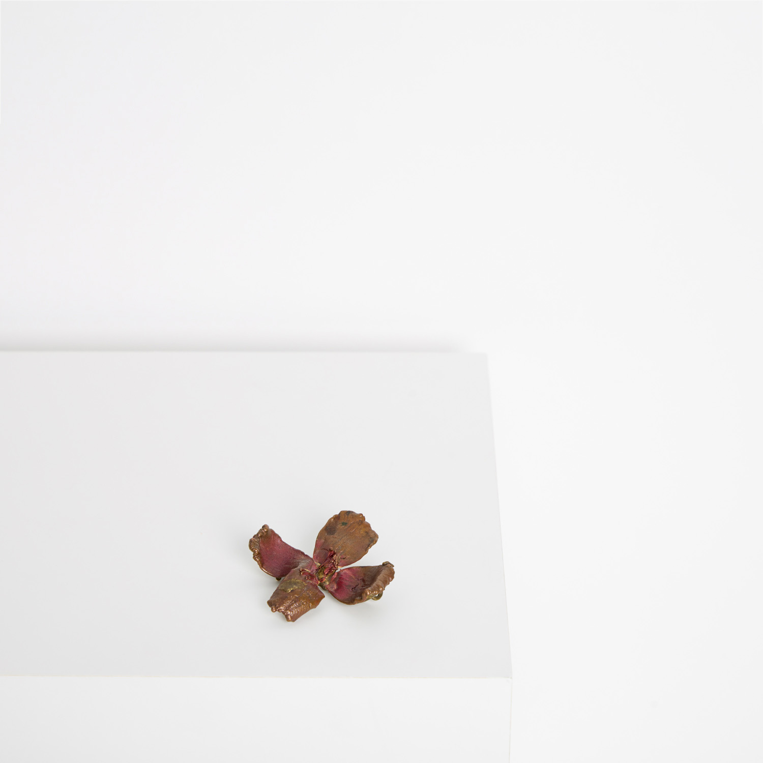 Claude Lalanne (1925-2019), Broche 'Clématite' - le modèle créé vers 1970 - Pièce unique - Detail D1