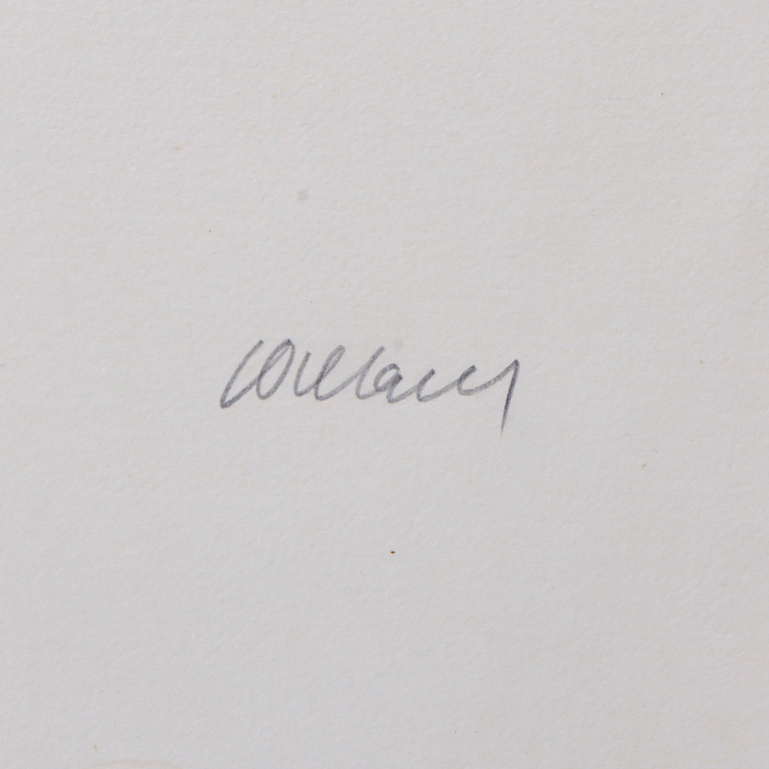 Lithographie N°37 - 1974 - Detail D3