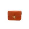 Borsa a tracolla Celine  Triomphe in pelle naturale - 360 thumbnail