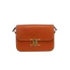 Borsa a tracolla Celine  Triomphe in pelle naturale - 360 thumbnail