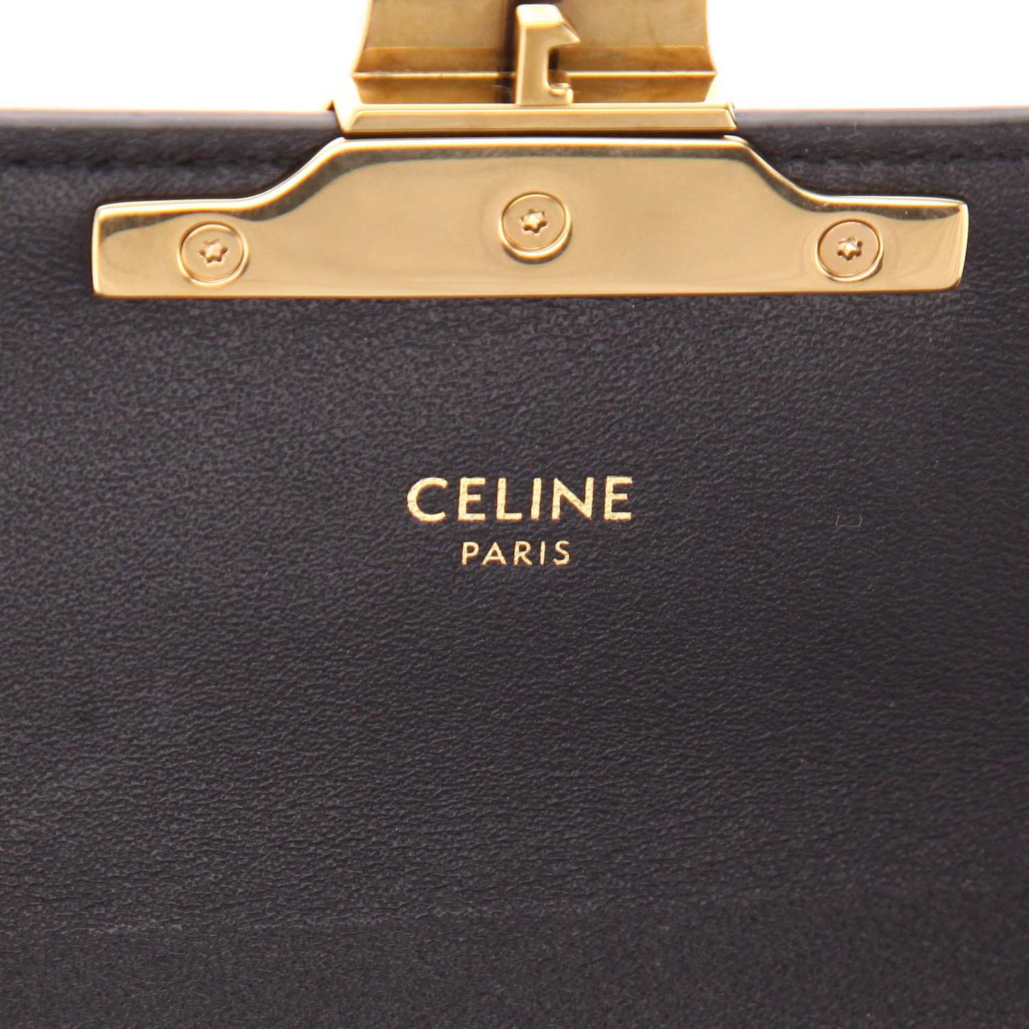 Celine  Claude handbag  in black lizzard - Detail D2
