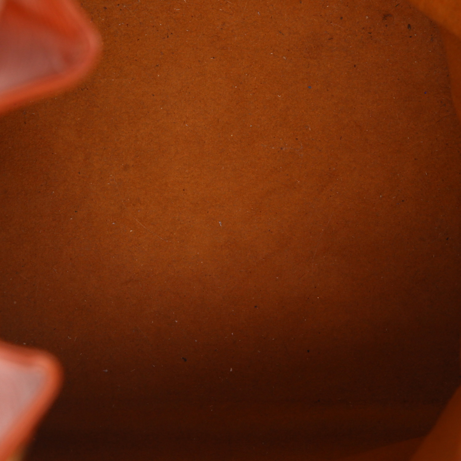 Louis Vuitton  Noé handbag  in brown epi leather - Detail D3