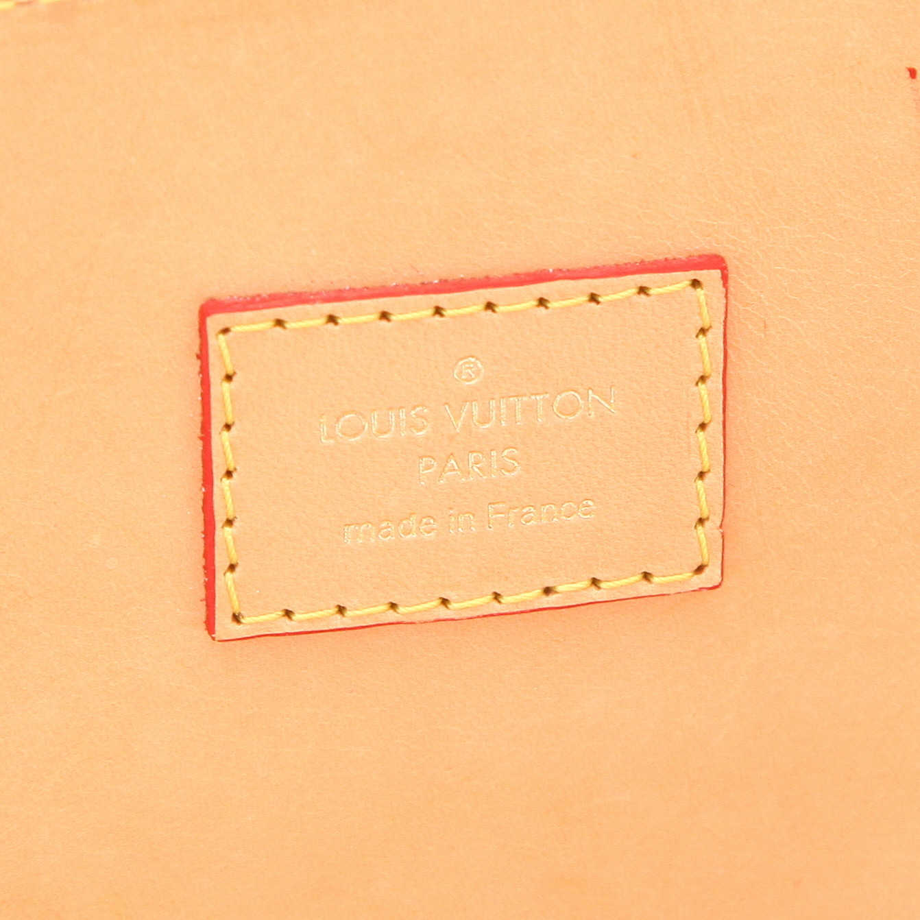 Louis Vuitton  Editions Limitées handbag  in brown monogram canvas  and red foal - Detail D2